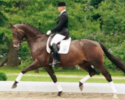 dressage horse Lyö (Hanoverian, 2004, from Damon Hill)