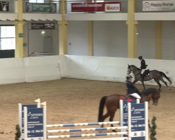 Reitturnier Stadl-Paura 2024