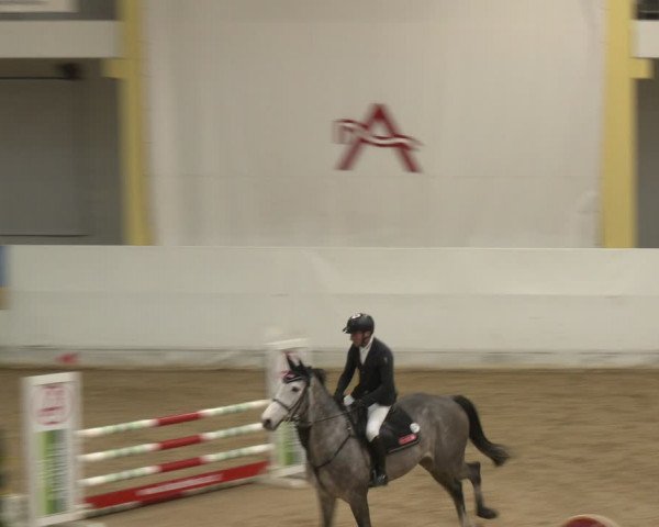 Reitturnier Stadl-Paura 2024