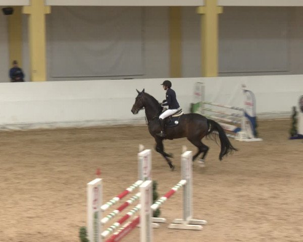 Reitturnier Stadl-Paura 2024