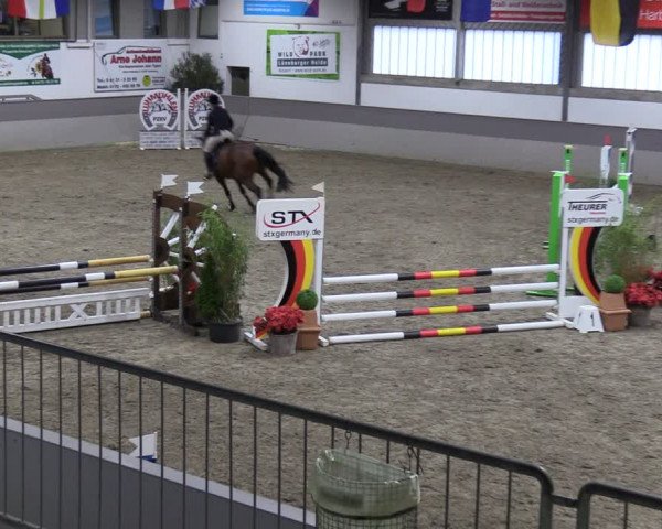 Reitturnier Luhmühlen 2024