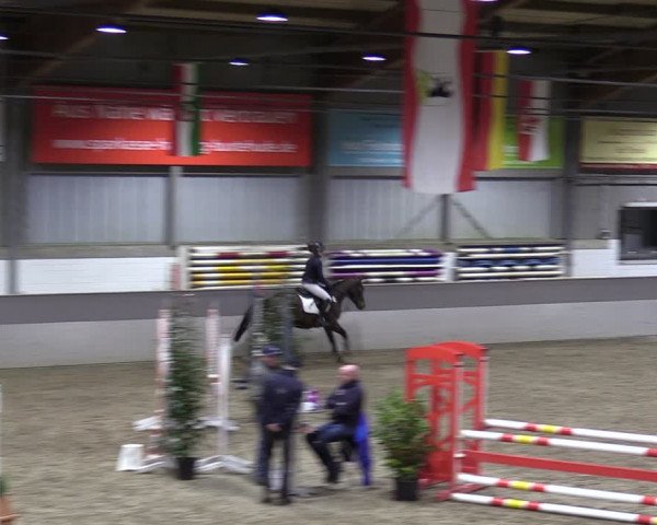 Reitturnier Luhmühlen 2024