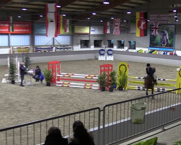 Reitturnier Luhmühlen 2024