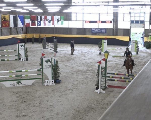 Reitturnier Erlen 2024