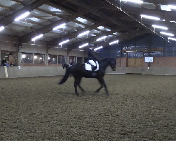 Reitturnier Lembeck 2024