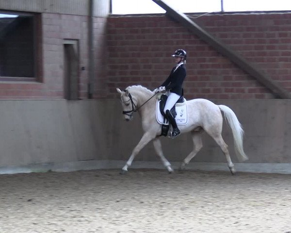Reitturnier Lembeck 2024