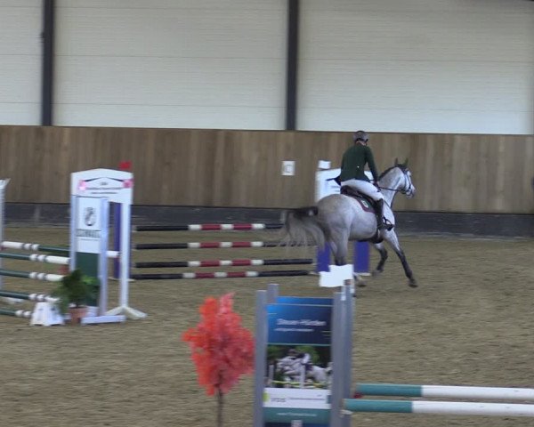 Reitturnier Zwickau 2024