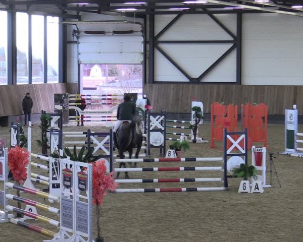 Reitturnier Zwickau 2024