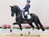 dressage horse Hengst von Desperado / Sir Donnerhall I (Oldenburg, 2018, from Desperado)