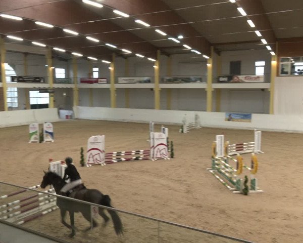 Reitturnier Stadl-Paura 2024