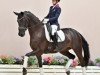 dressage horse Florida S 2 (Oldenburg, 2016, from Nymphenburg's First Ampere)