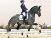 dressage horse Stute von Benefit / San Amour (Oldenburg, 2019, from Benefit)