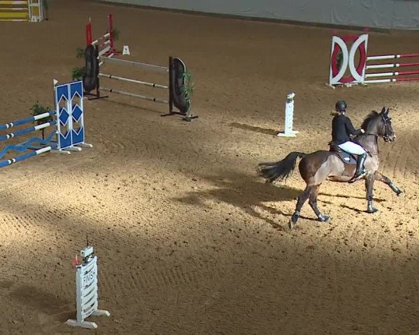 Reitturnier Kreuth/Opf. 2024