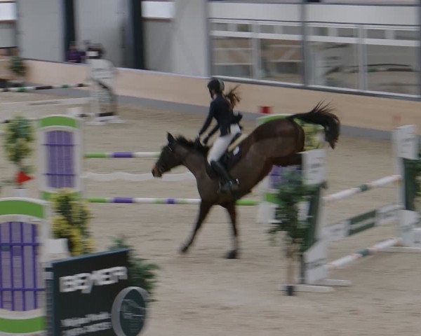 Reitturnier Borken 2024
