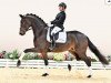 dressage horse For all Mankind (Oldenburg, 2018, from For Dance)