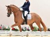 dressage horse Indigo Blue 5 (Oldenburg, 2018, from Asgard's Ibiza)