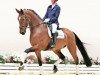 dressage horse Floristino 3 (Oldenburg, 2016, from Fuechtels Floriscount OLD)