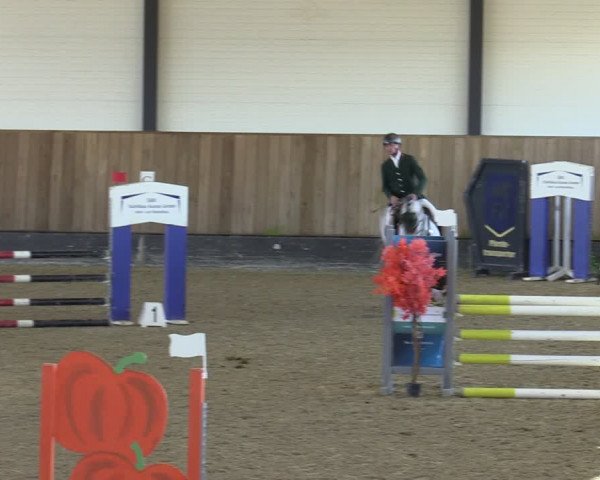 Reitturnier Zwickau 2024