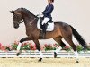 dressage horse Forte Village (Oldenburg, 2018, from Feinrich)