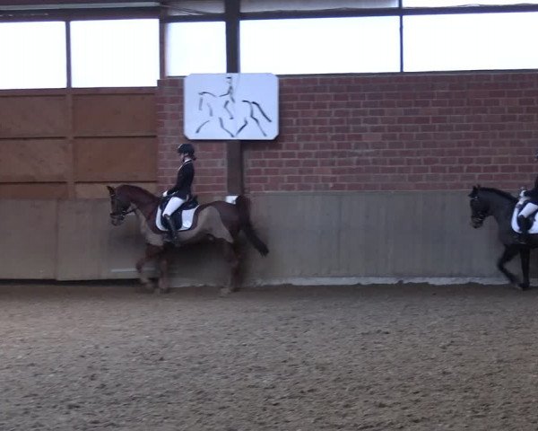 Reitturnier Lembeck 2024