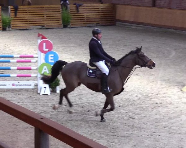 Reitturnier Hamburg-Friedrichshulde/Sylva Kuhrt 2024