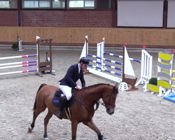 Reitturnier Hamburg-Friedrichshulde/Sylva Kuhrt 2024