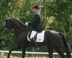 stallion Hennessy Xo (Oldenburg, 2000, from Hohenstein I)