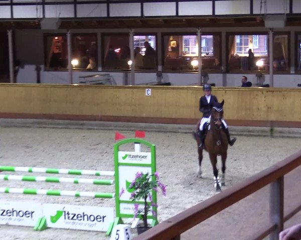 Reitturnier Hamburg-Friedrichshulde/Sylva Kuhrt 2024