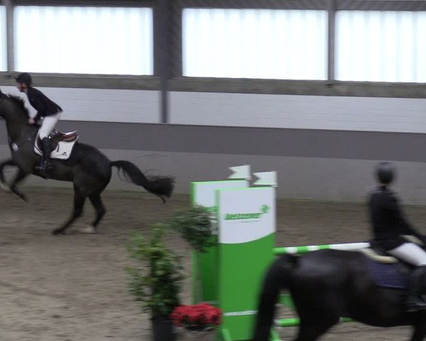 Reitturnier Luhmühlen 2024