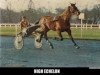 stallion High Echelon (FR) (French Trotter, 1973, from Patara (FR))