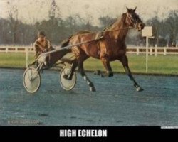 stallion High Echelon (FR) (French Trotter, 1973, from Patara (FR))