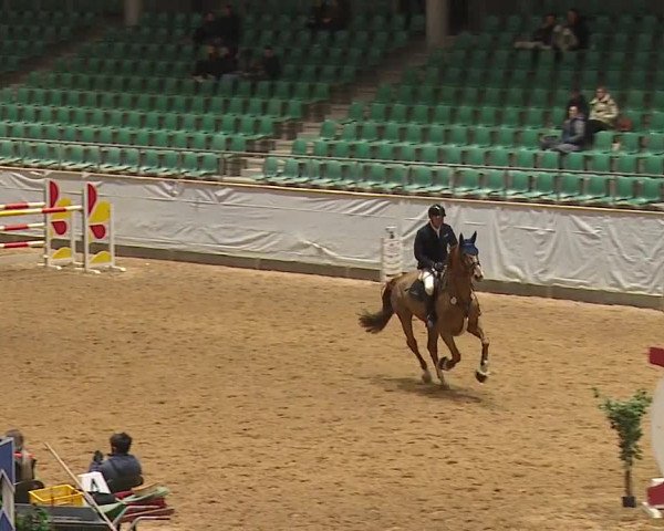 Reitturnier Kreuth/Opf. 2024