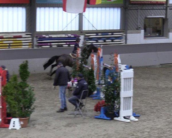 Reitturnier Luhmühlen 2024