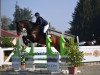 jumper Cool Conny K (German Sport Horse, 2015, from Con Chello)