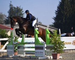 jumper Cool Conny K (German Sport Horse, 2015, from Con Chello)