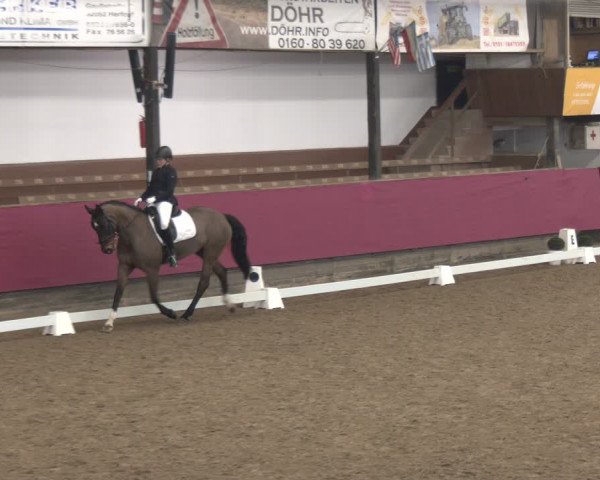 Reitturnier Vlotho-Exter 2024