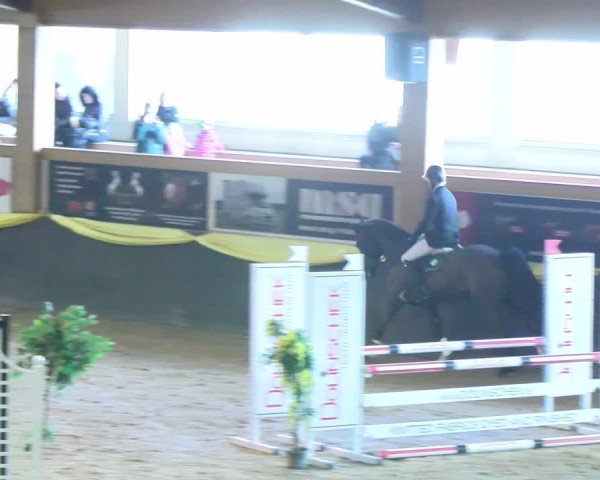 Reitturnier Sauldorf-Boll 2024