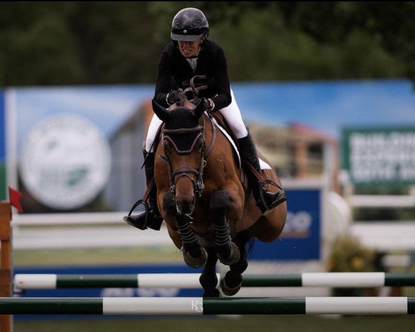 Springpferd Gcs Athena (Irish Sport Horse, 2014, von Vigo d'Arsouilles)