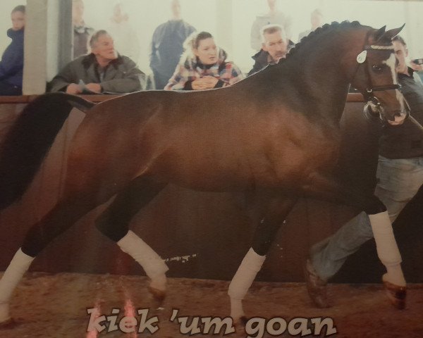 stallion Woldhoeve's Bart (unknown,  , from Woldhoeve's Silco)