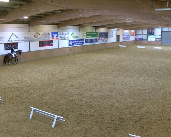 Reitturnier Rhede 2024