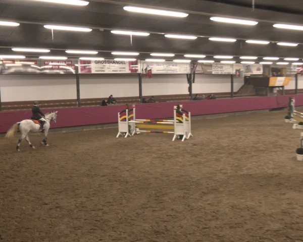 Reitturnier Vlotho-Exter 2024