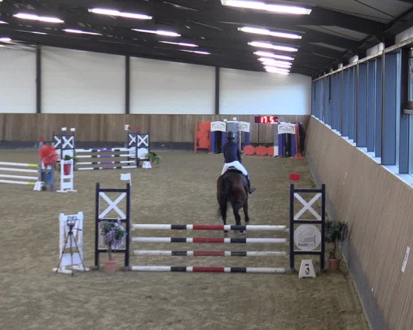 Reitturnier Zwickau 2024