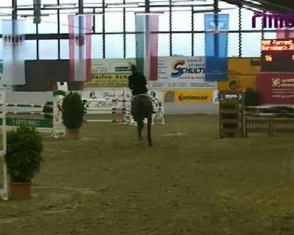 Borken 2011