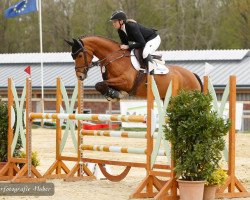 broodmare Bonnie di Luna (Oldenburg show jumper, 2013, from Valeron)