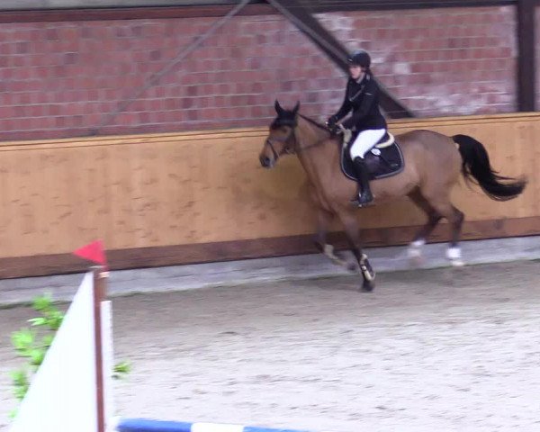 Reitturnier Hamburg-Friedrichshulde/Sylva Kuhrt 2024