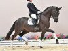 dressage horse Superb 4 (Oldenburg, 2018, from Secret)