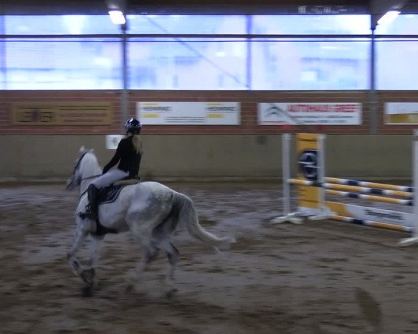 Reitturnier Lembeck 2024