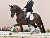 dressage horse Summerglow OLD (Oldenburg, 2018, from Secret)