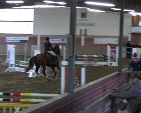Reitturnier Lembeck 2024