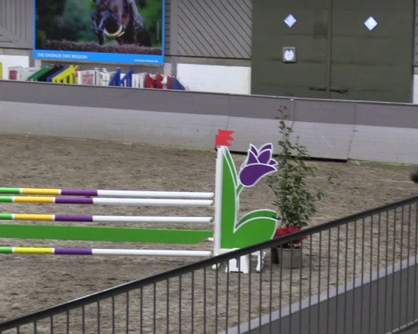 Reitturnier Luhmühlen 2024